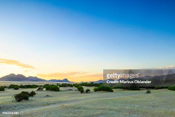 sunset at purros, kunene region, namibia - kunene region bildbanksfoton och bilder