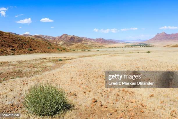 view of the hoanib dry river, kunene region, namibia - kunene region stock pictures, royalty-free photos & images