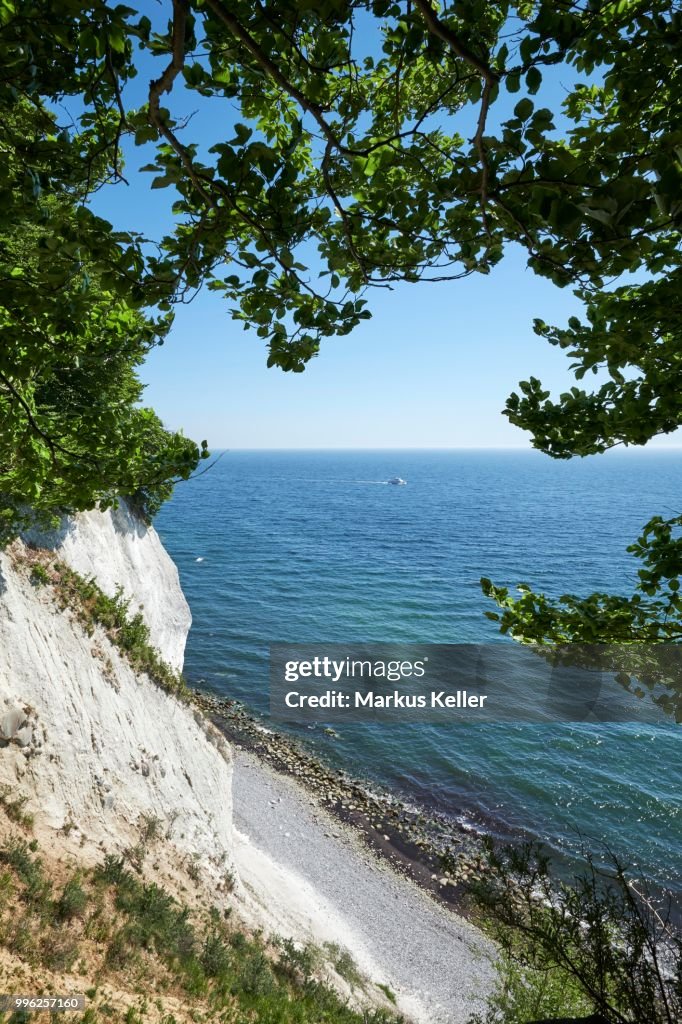 Chalk coast in Sassnitz, Jasmund National Park, Island of Ruegen, Baltic coast, Mecklenburg-Western Pomerania, Germany