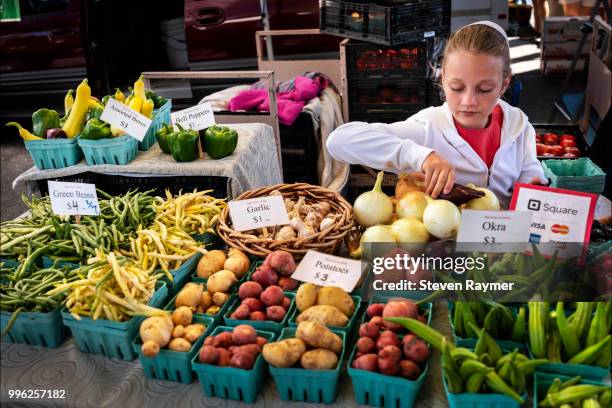amish girl selling produce in market - amish indiana stock pictures, royalty-free photos & images