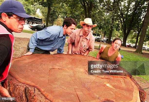 From right, Lisa Dix, Derek Volkart, Joseph Vaile, and an unidentified Senate parking attendant move a 440 year old tree stump that will be on...