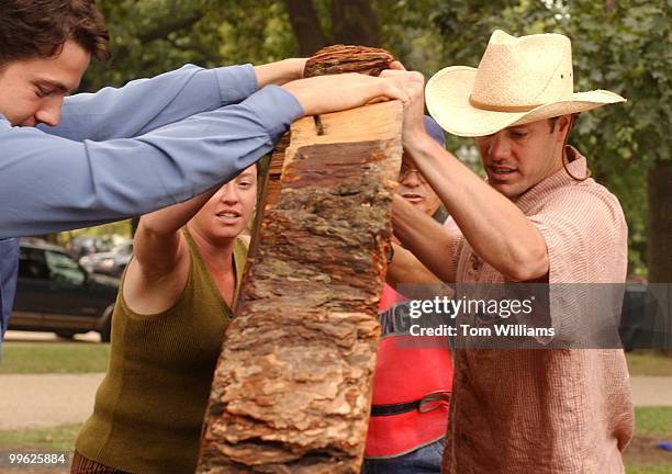 From left, Joseph Vaile, Lisa Dix, an unidentified Senate parking attendant and Derek Volkart, move a 440 year old tree stump that will be on display...