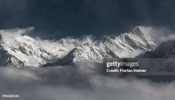 peaks of the alps above clouds. - florian schweizer stock-fotos und bilder
