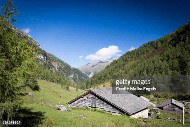 the litzlhofalm in the seidwinklvalley in the hohe tauern national park, rauris, salzburger land, austria - engels stock pictures, royalty-free photos & images