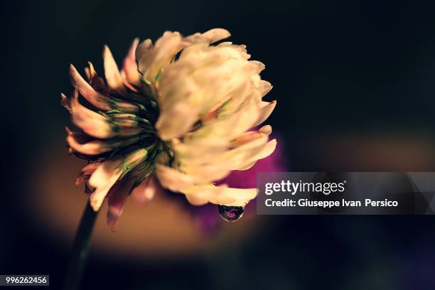 piccola sfera di luce - sfera - fotografias e filmes do acervo