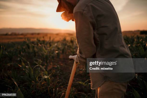 hard werken op het veld - beaten up stockfoto's en -beelden