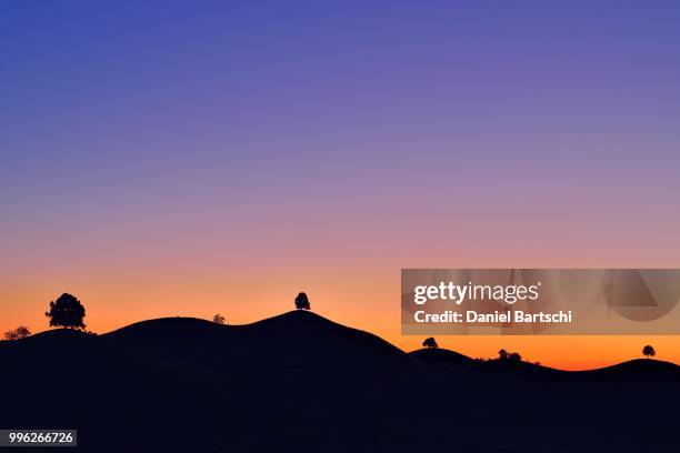 trees on moraine hills as silhouettes at dusk, menzingen, canton zug, switzerland - menzingen stock pictures, royalty-free photos & images