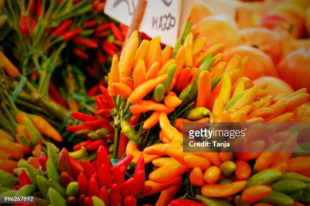 italien chili - do you like it hot? - italien stockfoto's en -beelden