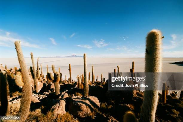 salar de uyuni. - salar stock pictures, royalty-free photos & images