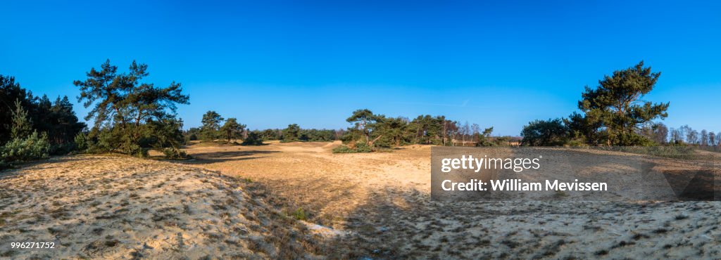 Panorama 'Stuifduinen'