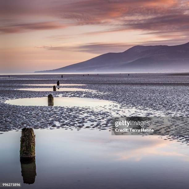 ebb tide at murlough - ebb tide stock pictures, royalty-free photos & images
