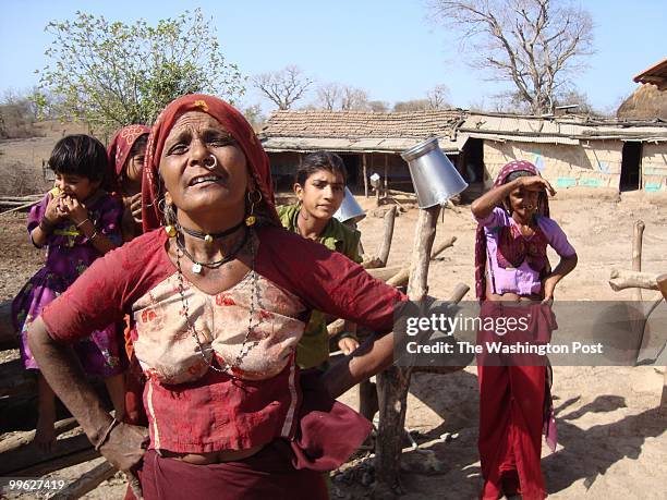 Gujarat state, INDIA Gir Lion Sanctuary, Gujarat state, India - Lakshmiben Ulwa a Maldhari woman describes life with the lions. She calls the lions...