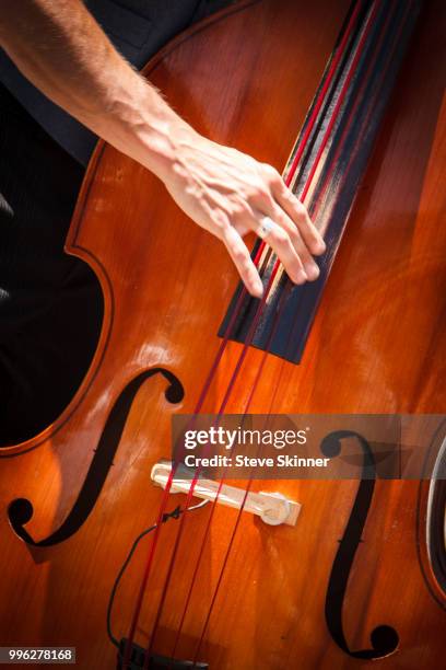 it's all about the bass - instrumento baixo imagens e fotografias de stock