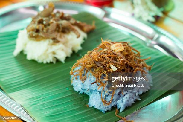 bangkok, thailand - suzi pratt fotografías e imágenes de stock