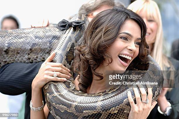 Actress Mallika Sherawat poses with a snake at the 'Hisss' Photocall at the Salon Martha Barriere at Majestic Hotel during the 63rd Annual Cannes...