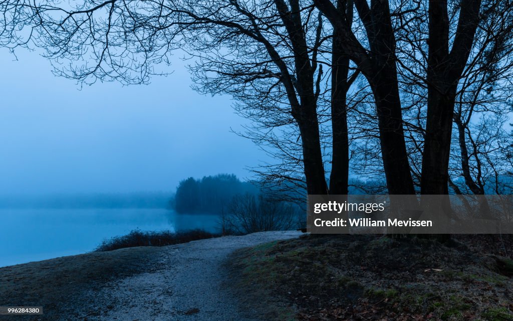 Foggy Lake