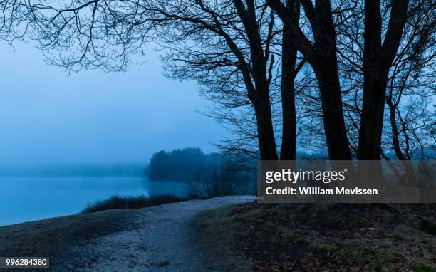 foggy lake - william mevissen stock pictures, royalty-free photos & images