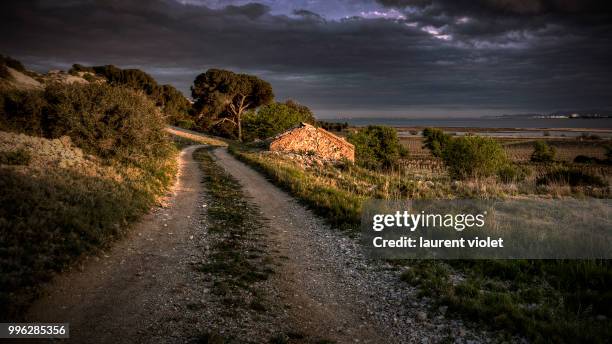 le chemin des vignes - chemin foto e immagini stock