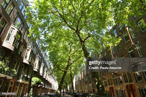 amsterdam city during summer - grachtenpand stock pictures, royalty-free photos & images