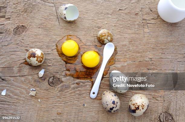 raw quail eggs - studiofoto stock pictures, royalty-free photos & images