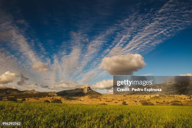 229 Pedro Espinosa Stock Photos, High-Res Pictures, and Images - Getty  Images