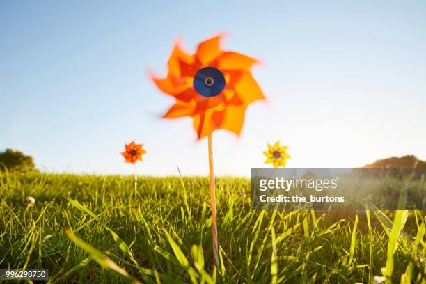 pinwheels on meadow against sky - paper windmill stock pictures, royalty-free photos & images