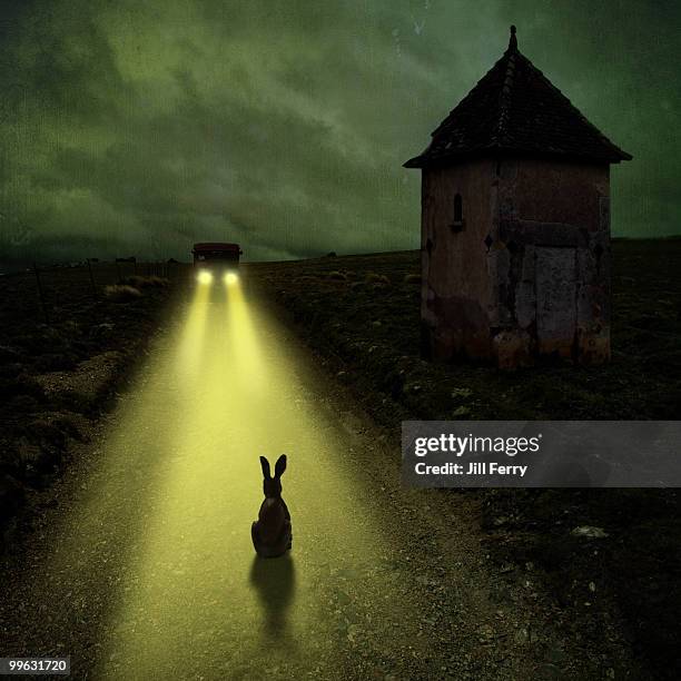 Rabbit Road casino miljø