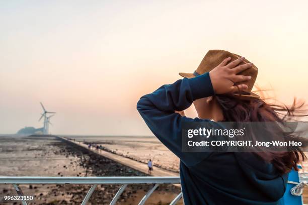 a girl holding her hat to keep it from winds - provincie kyonggi do stockfoto's en -beelden
