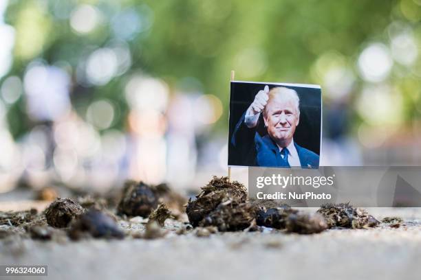 Flag with a Portrait od the US president inserted over the horse dung in Hyde Park, in London, on July 11, 2018.