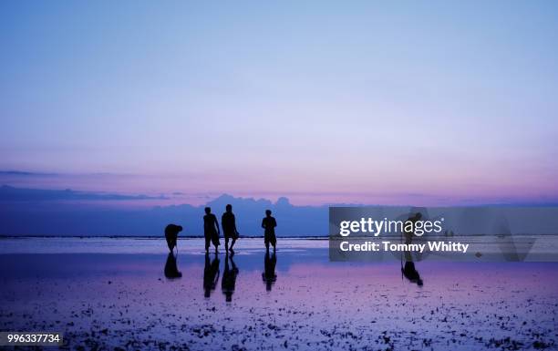 fishermen in lombok - lombok stock-fotos und bilder