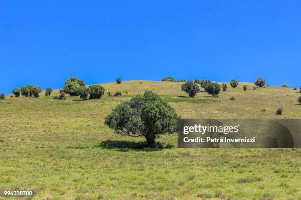 the hill - petra invernizzi stock pictures, royalty-free photos & images