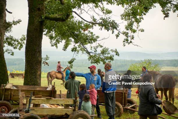 horses and wagons of the local christian and muslim romanies (gypsies) participating in the traditional national festivity in the neighborhood of baba kondu in the municipality of targovishte, bulgaria - pavel gospodinov stockfoto's en -beelden