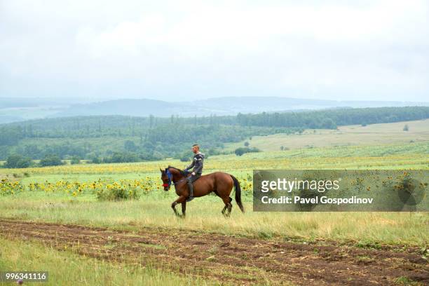 young roma man (gypsies) participating in a horse competition during the traditional national festivity in the neighborhood of baba kondu in the municipality of targovishte, bulgaria - pavel gospodinov stock pictures, royalty-free photos & images