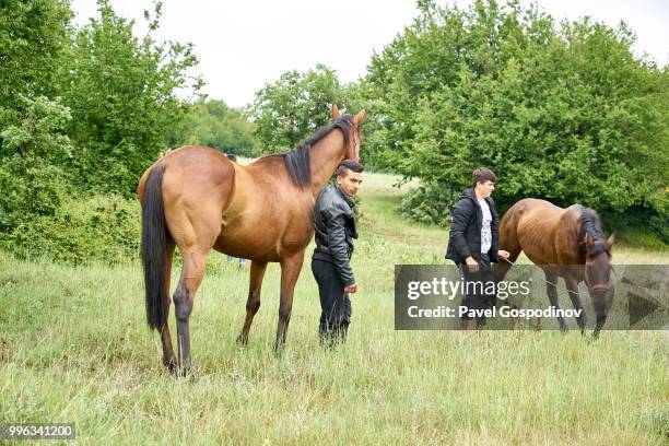 young romanies (gypsies) preparing for a horse show during the traditional national festivity in the neighborhood of baba kondu in the municipality of targovishte, bulgaria - pavel gospodinov stock pictures, royalty-free photos & images