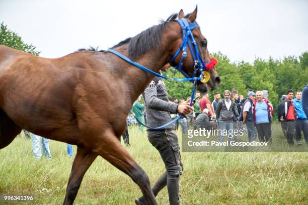 young roma man (gypsy) with his horse preparing for participating in a horse competition during the traditional national festivity in the neighborhood of baba kondu in the municipality of targovishte, bulgaria - national career fairs imagens e fotografias de stock