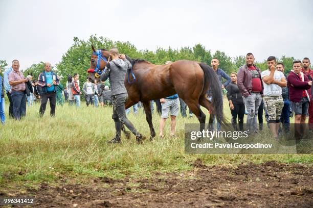 young roma boy (gypsy) talking on his cell phone while demonstrating his horse during the traditional national festivity in the neighborhood of baba kondu in the municipality of targovishte, bulgaria - national career fairs imagens e fotografias de stock