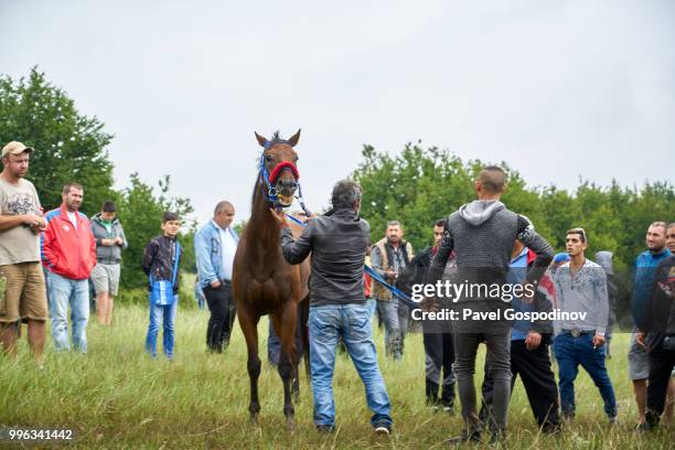 young roma man (gypsy) demonstrating his horse during the traditional national festivity in the neighborhood of baba kondu in the municipality of targovishte, bulgaria - pavel gospodinov 個照片及圖片檔