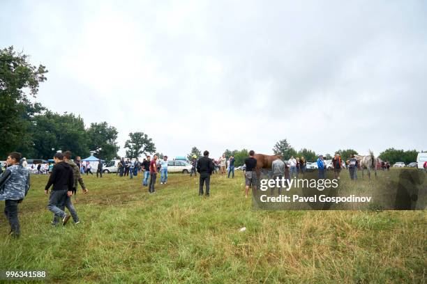 christian and muslim romanies (gypsies), ethnic turks and bulgarians enjoying a traditional horse competition during the traditional national festivity in the neighborhood of baba kondu in the municipality of targovishte, bulgaria - baba stock pictures, royalty-free photos & images