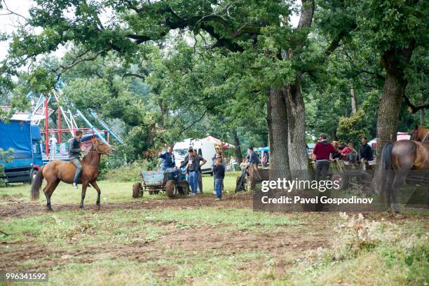 horses and wagons of the local christian and muslim romanies (gypsies) participating in the traditional national festivity in the neighborhood of baba kondu in the municipality of targovishte, bulgaria - pavel gospodinov 個照片及圖片檔