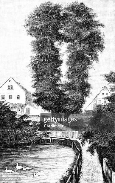 stockillustraties, clipart, cartoons en iconen met bizarre bomen in duitsland: de lindeboom in schmorsdorf - lime tree
