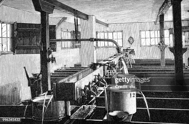 eine fischzucht: in der brüterei - rhön stock-grafiken, -clipart, -cartoons und -symbole