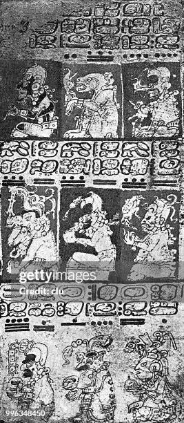 ilustraciones, imágenes clip art, dibujos animados e iconos de stock de una página del manuscrito maya de dresden - manuscrito