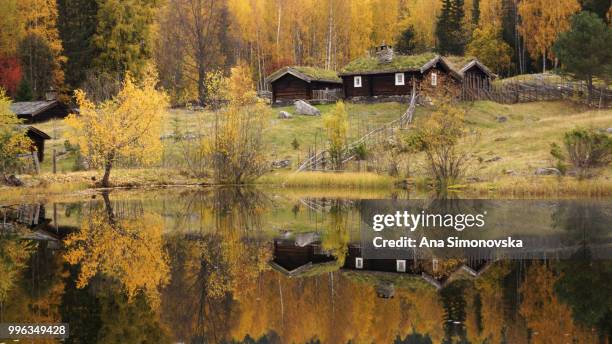 maihaugen - ana silva bildbanksfoton och bilder