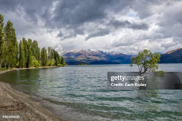 lake wanaka - ripley stock pictures, royalty-free photos & images