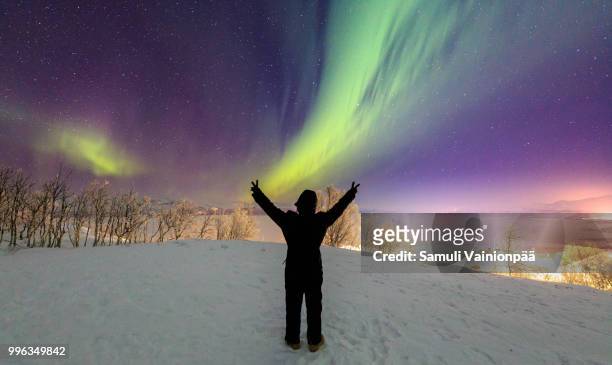 aurora borealis or northern lights, kiruna, sweden - norrbotten province 個照片及圖片檔
