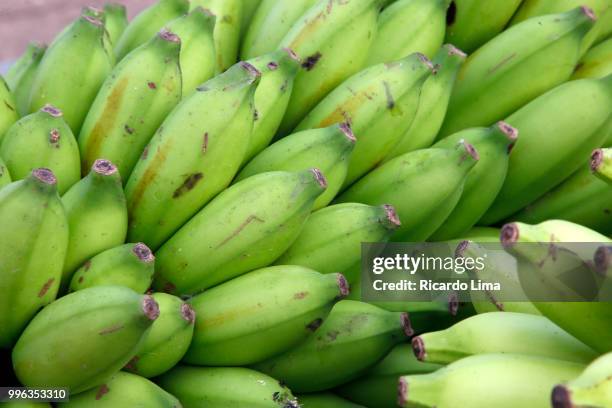 Fain Examples 1,656 Fain Stock Photos, High-Res Pictures, and Images - Getty Images