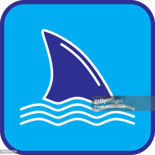 blue and white shark fin icon - robinolimb stock illustrations