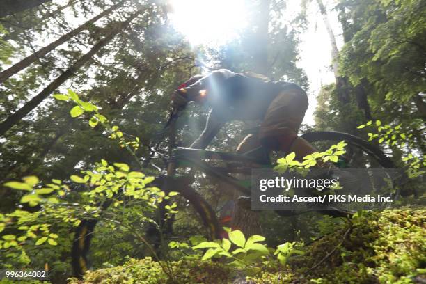 Man Log Riding 888 Log Ride Stock Photos, High-Res Pictures, and Images - Getty Images