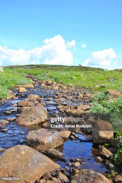 rocky path - rudolph stock pictures, royalty-free photos & images