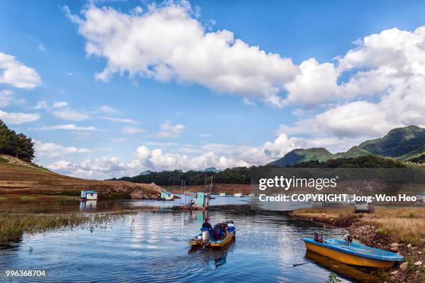 people who enjoy fishing at the lake - jong won heo stock pictures, royalty-free photos & images